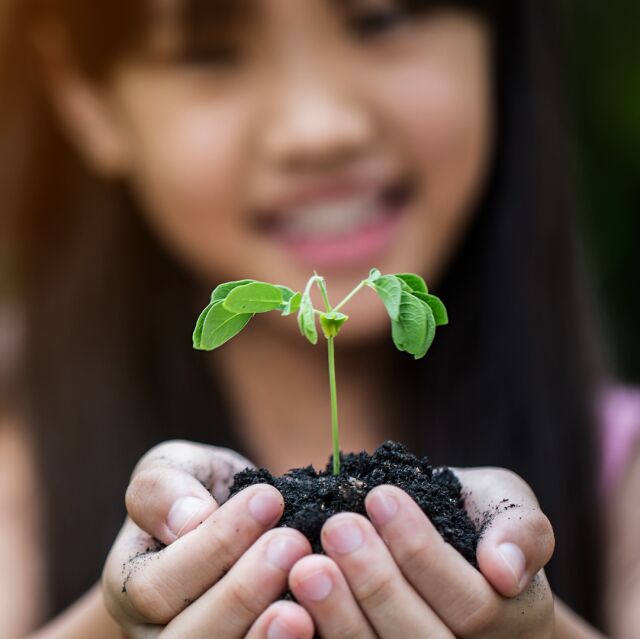 Lapsi pitelee käsisään kasvin tainta.