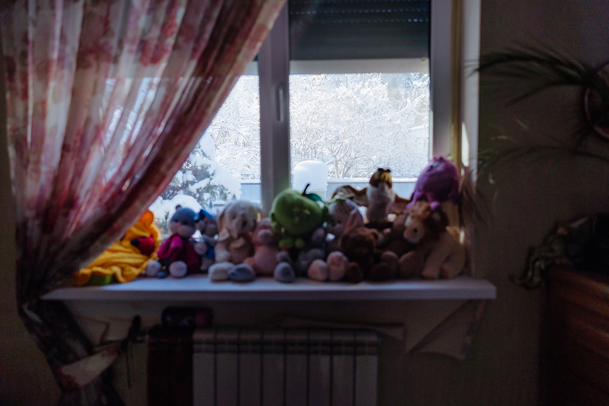 Kasa pehmoleluja ikkunalaudalla. Takana talvinen maisema.