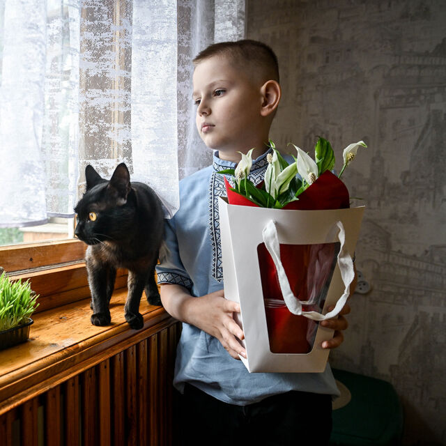 Poika pitää sylissään punavalkoista kukkapakettia ja katsoo ulos ikkunasta kissansa kanssa.